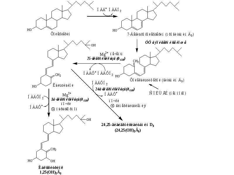 Схема витамина д