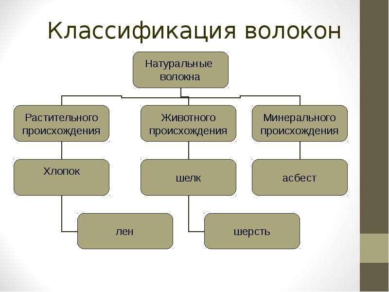 Классификация волокон презентация