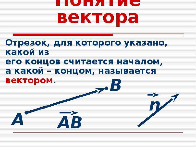 Тест понятие векторов