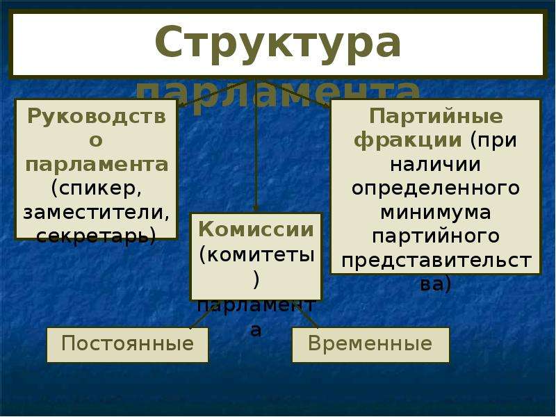 Институты государственной власти. Партийные фракции. Наличие в парламенте несколько партийных фракций.