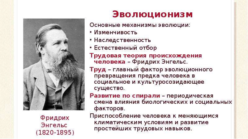 Трудовая теория ф энгельса