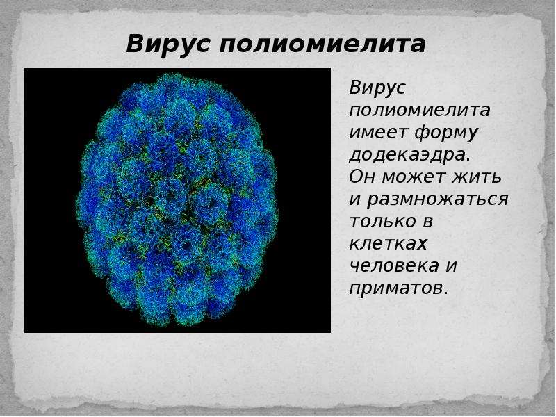 Презентация на тему додекаэдр 10 класс