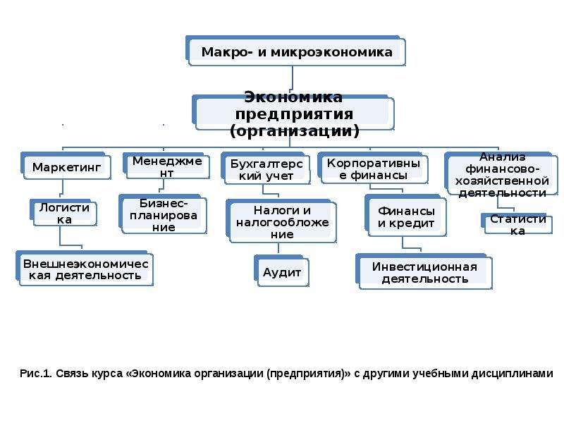 Предприятие звено рыночной экономики