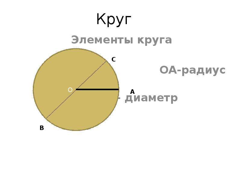 Элементы окружности