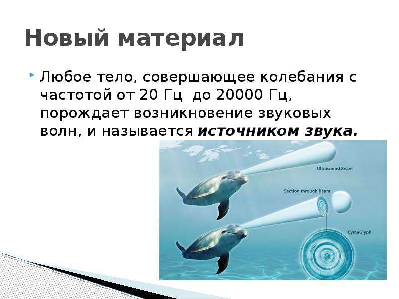 Высота тембр и громкость звука 9. Колебания с частотой 20000 Герц. Любое тело совершающее колебание с частотой. Источники звука это любое тело. Как называется колебание с частотой больше 20000 Гц.