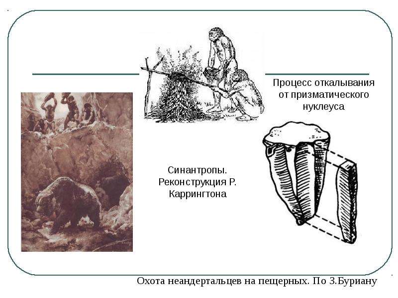 Схема первобытного строя. Предмет истории первобытного общества. Нуклеусы синантропы. Колесо первобытных людей схема. 1. История первобытного общества. Предмет и задачи..