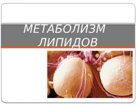 Метаболизм липидов