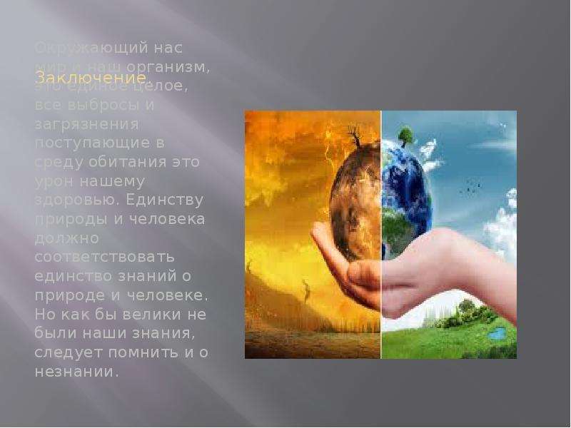 Картинки человек и природа единое целое