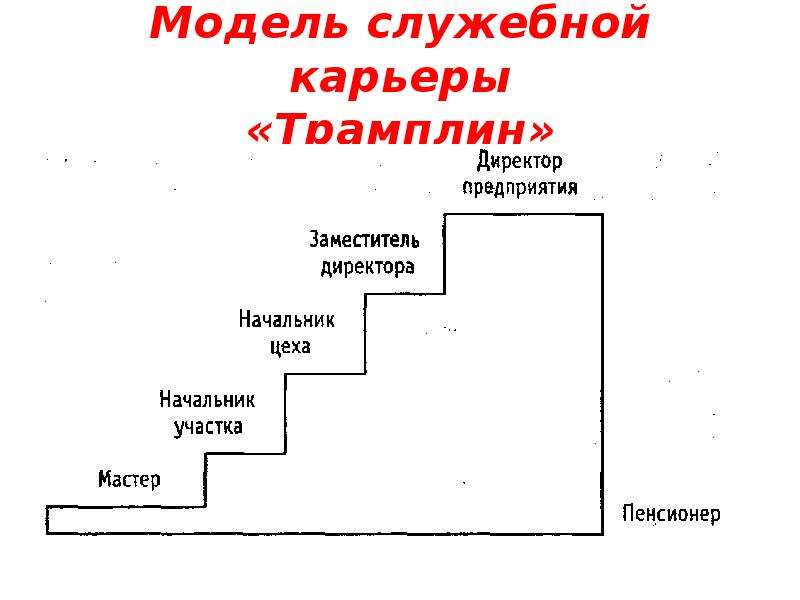 Профессиональная карьера схема