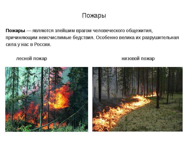 Лесной пожар относится к биологически опасным явлениям. Низовой устойчивый пожар. Природные пожары бывают. ЧС природного характера пожары. Природные ЧС пожары презентация.
