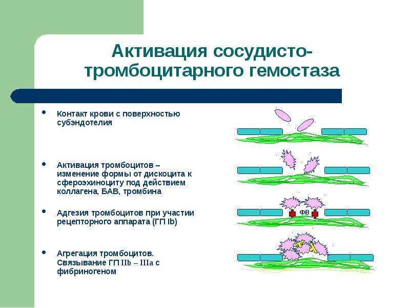 Диагностика нарушения гемостаза