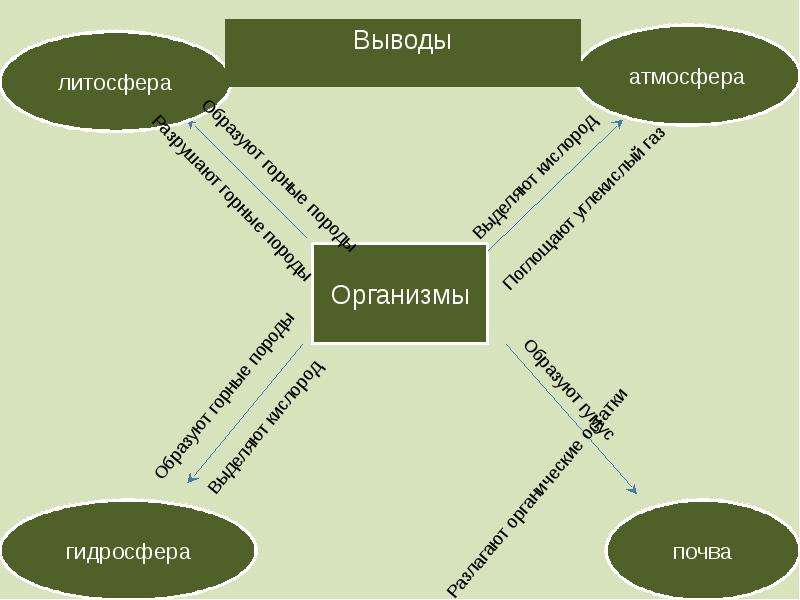 Презентация воздействие организмов на земные оболочки 6 класс презентация