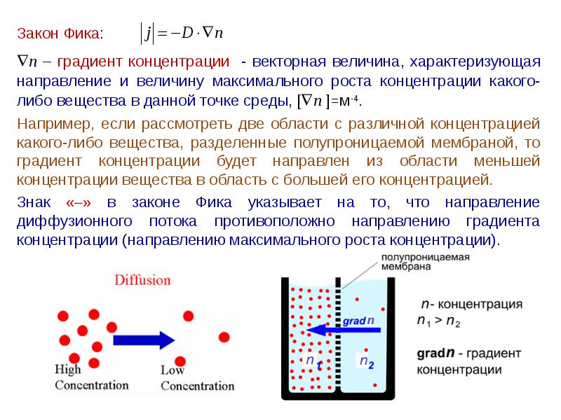 Диффузия по градиенту концентрации