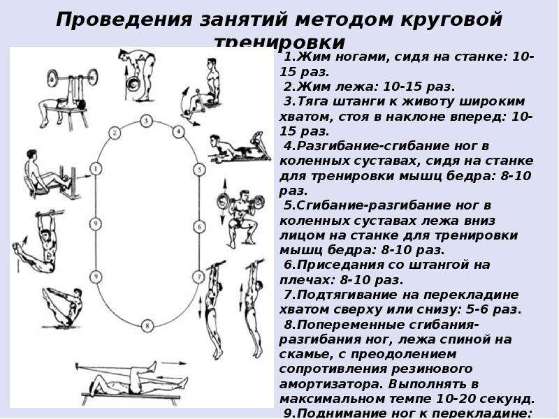 План конспект урока по физической культуре круговая тренировка