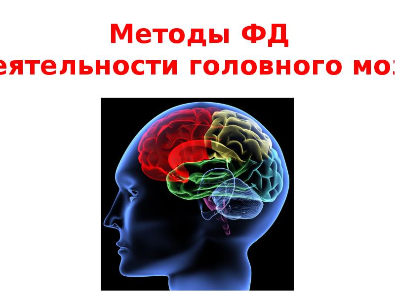 Закономерности работы головного мозга презентация