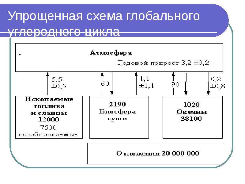 Концепция биосферы. Кибернетическая концепция биосферы. Социально экономическая концепция биосферы.