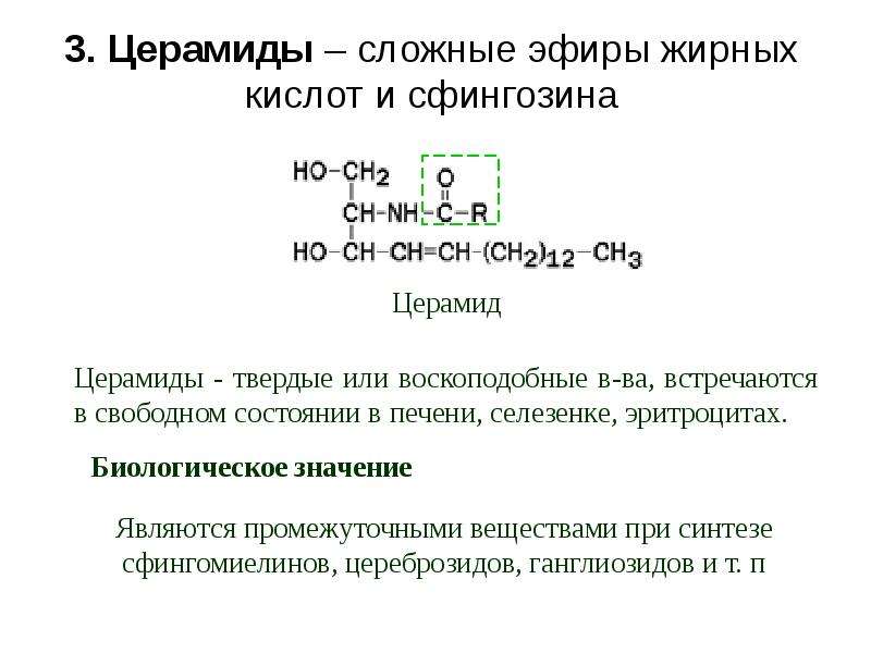 Что такое церамиды. Общая формула церамидов. Церамиды. Церамиды это липиды. Строение церамидов.