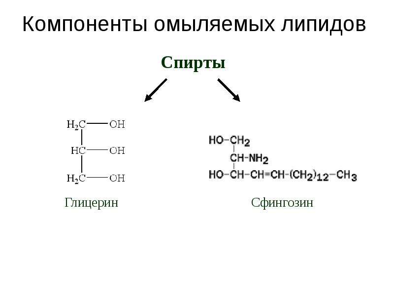 К простым липидам относятся. Омыляемые липиды. Компоненты липидов. Липиды глицерин. Спирт сфингозин.