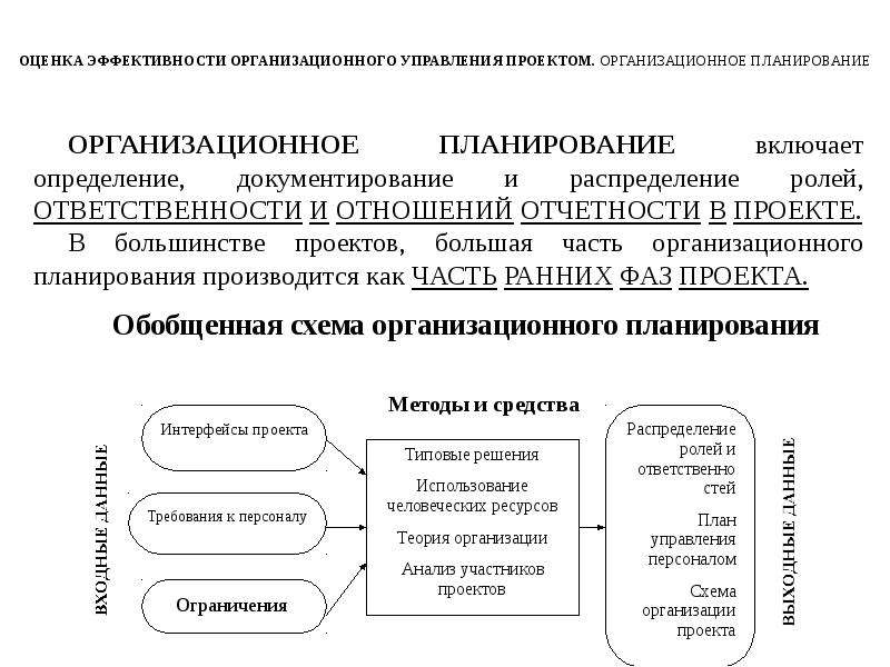 Оценка эффективности организационных проектов