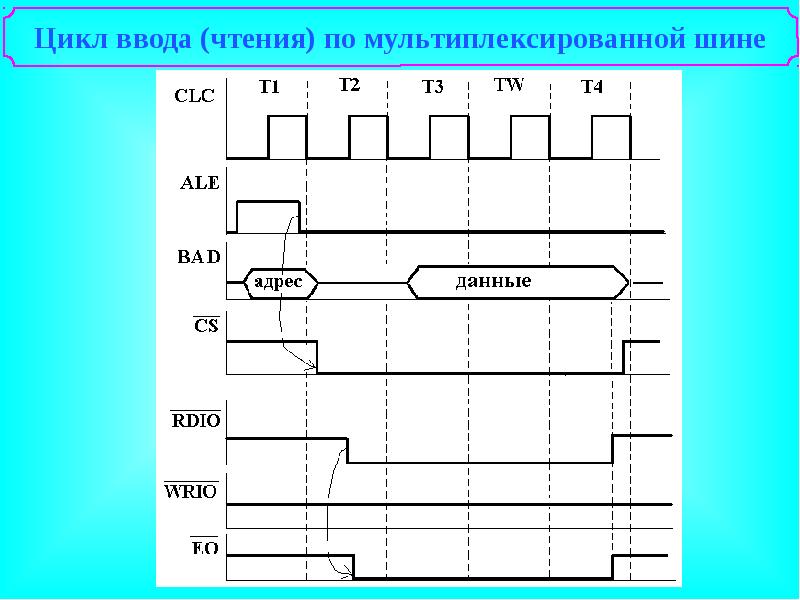 Ввод цикла. Что такое шинная организация микропроцессора. Шинная организация системы. Мультиплексированная шина. Линии адресации; шины.