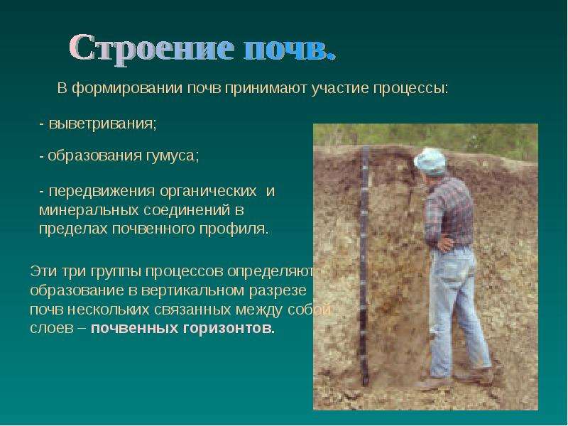 Типы почв мира презентация