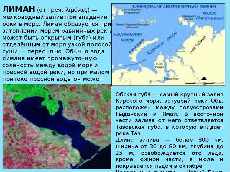 Какие реки впадают в каспийское море. Мелководный залив. Лиман Каспийского моря. Презентация типы морских берегов.