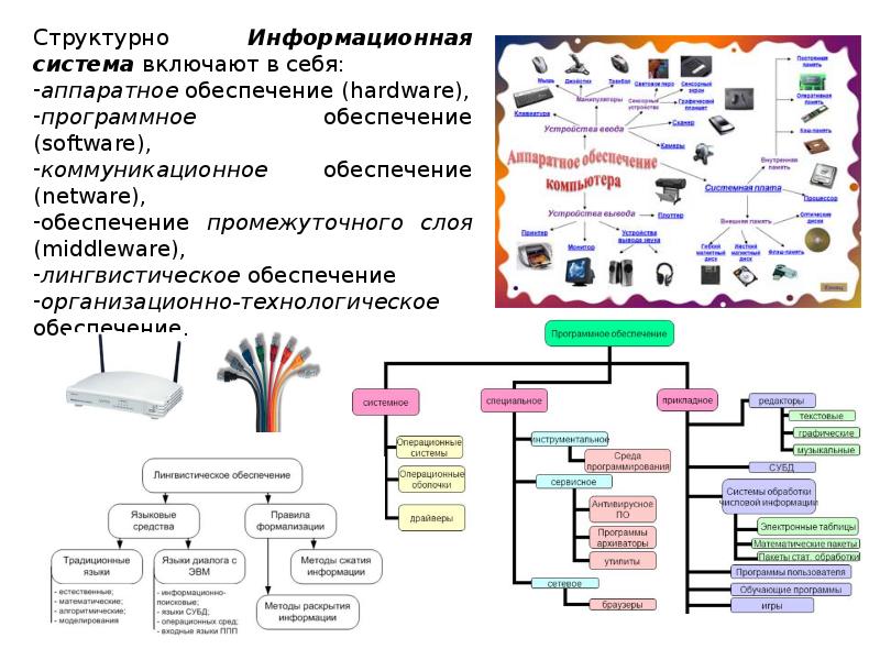 Организация информации сайта