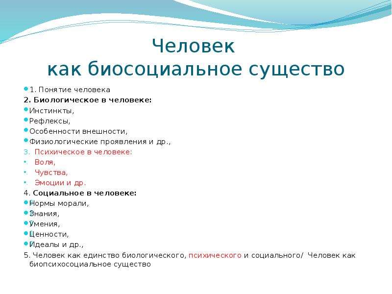 План позволяющий раскрыть по существу тему биосоциальная сущность человека