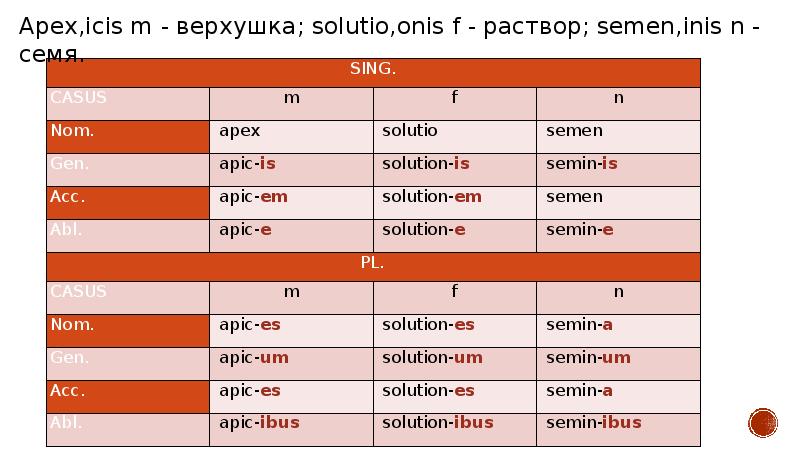 Категории имени существительного в латинском языке