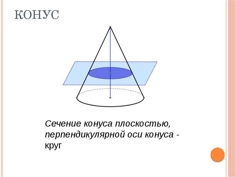 Площадь сечения конуса плоскостью проходящей. Сечение конуса перпендикулярно оси. Сечение конуса плоскостью проходящей перпендикулярно оси. Сечение конуса круг. Сечением конуса плоскостью, перпендикулярной оси конуса, является….