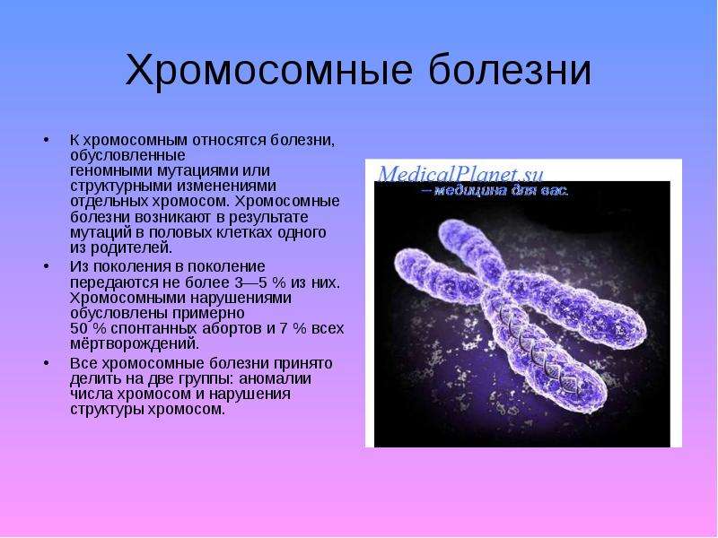 Генетический мозаицизм у человека фото