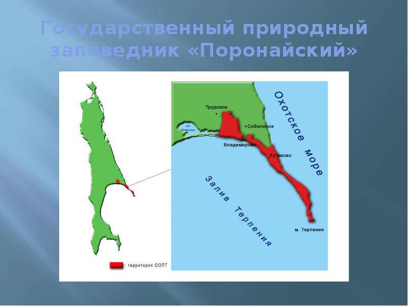 Заповедник поронайский презентация