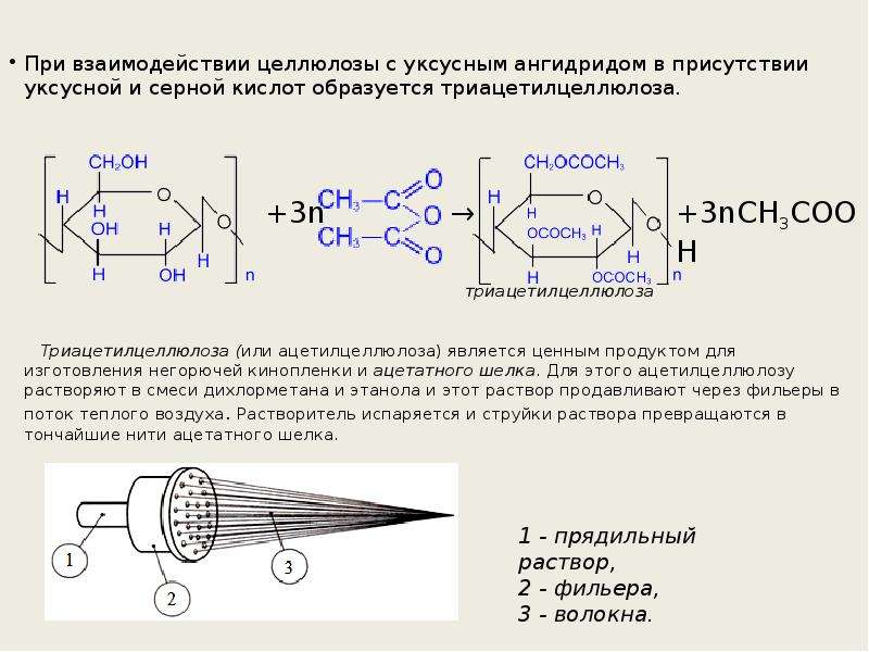 Схема образования целлюлозы