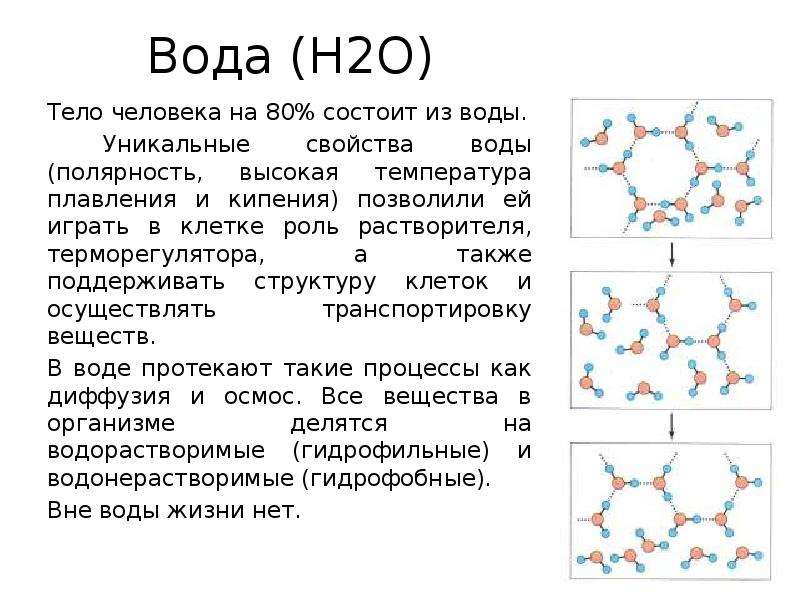 Уникальные свойства. Полярность воды. Свойства воды полярность. Н2о - вода свойства. Элементарный состав воды.