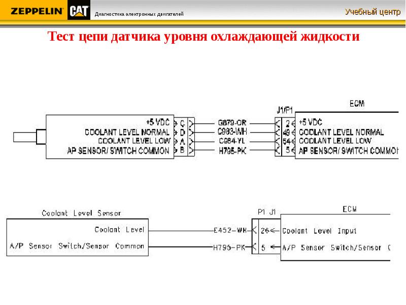 Тест цепей