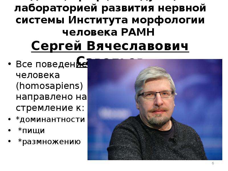 Нии морфологии человека