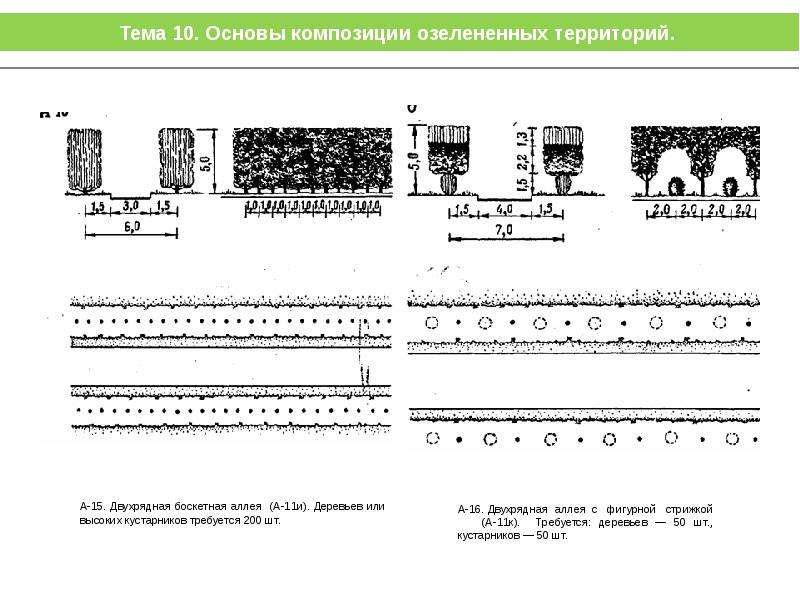 Схема посадки картофеля в коробах