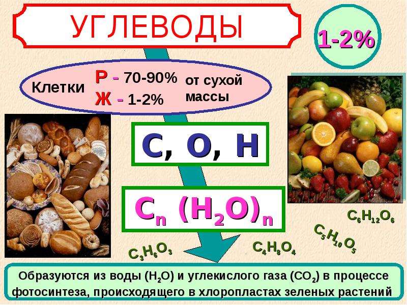 Химический состав клетки углеводы презентация