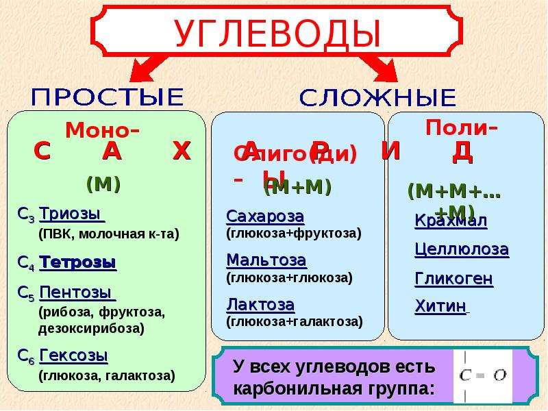 Органические вещества клетки углеводы липиды презентация 10 класс