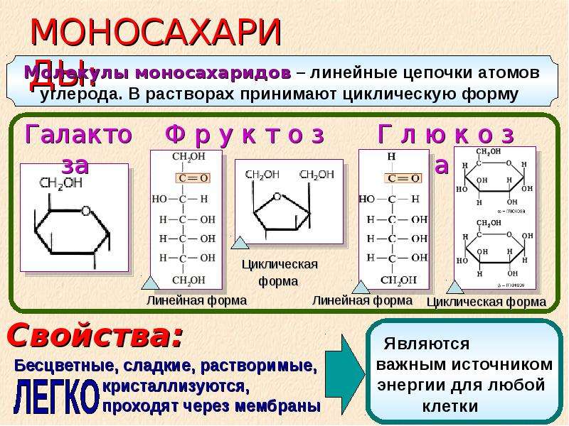 Углеводы презентация 9 класс биология