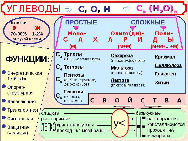 Химический состав клетки углеводы презентация