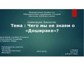 Чего мы не знаем о «Дошираке»?