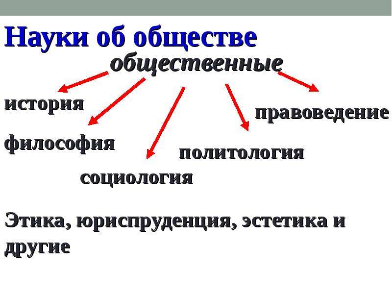 Общество как система презентация 10 класс