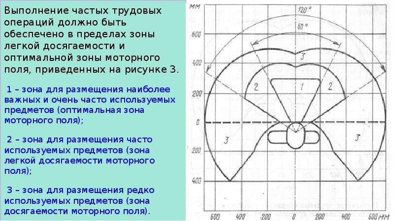 Зона оптимального. Зона досягаемости моторного поля. Оптимальная зона досягаемости в моторном поле это. Моторное поле рабочего места. Зоны досягаемости рук в горизонтальной плоскости.