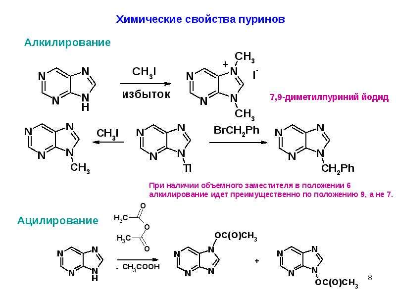 Система пурина