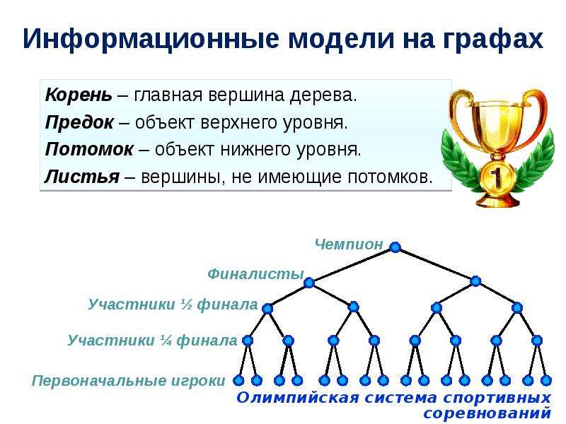 Графы 8 класс