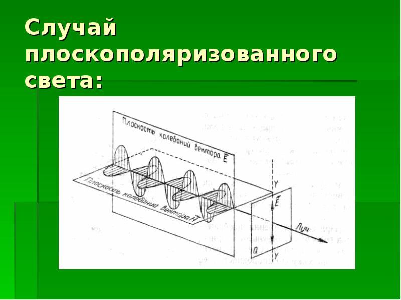 Поляризация 3