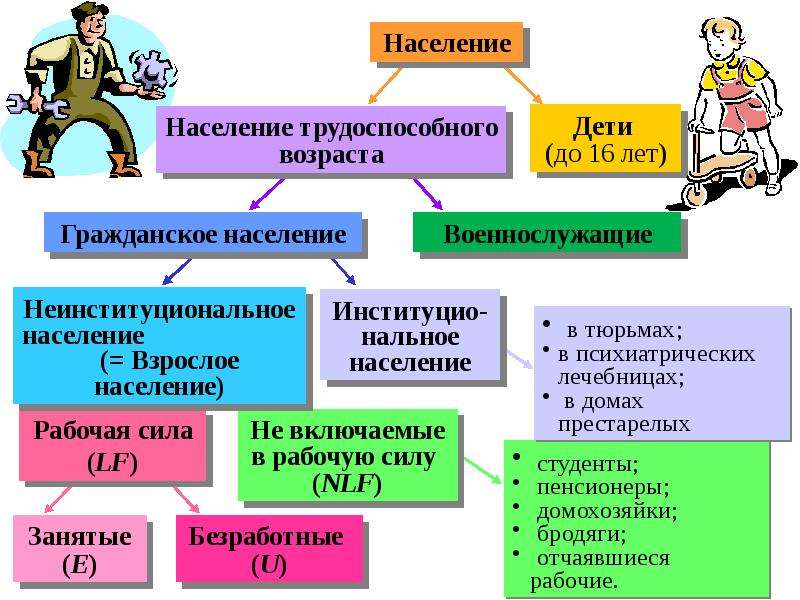 Схема трудоспособное население и нетрудоспособное