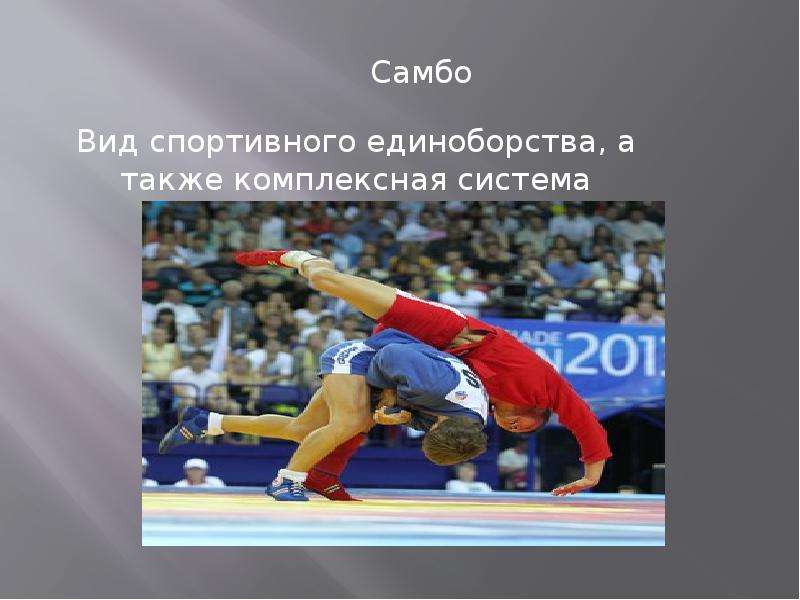 Почему самбо гордость российского спорта. Самбо вид спорта. Самбо национальный вид спорта. Самбо презентация. Спортивное самбо.