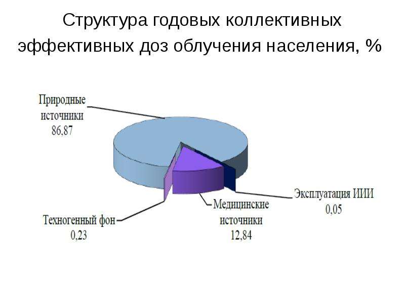 Структура годичного проекта